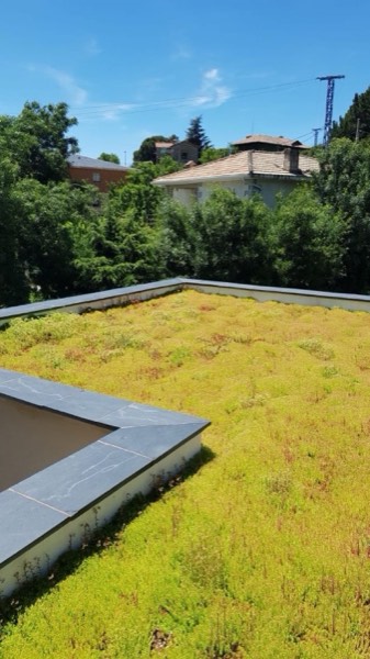 Vivienda unifamiliar 10